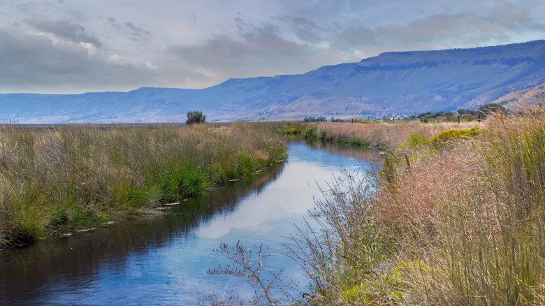 A channel runs through the Summer Lake Wildlife Area in Oregon.