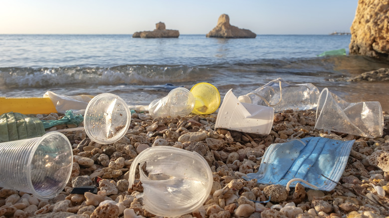 Trash on the beach