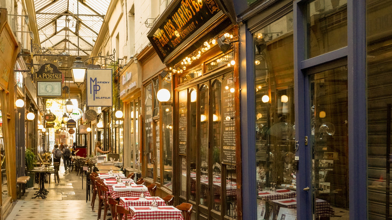 Traditional blue and brown store facades along an alley with glass ceiling