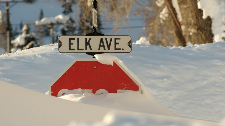 stop sign covered in snow