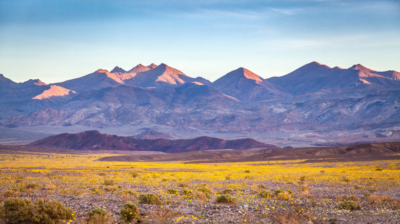 mountains in Death Valley National Park