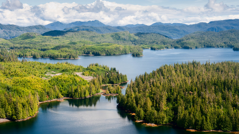 An aerial view of Prince of Wales Island, Alaska.
