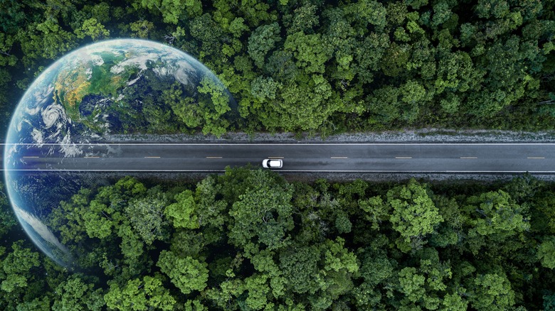 view of car driving through forest