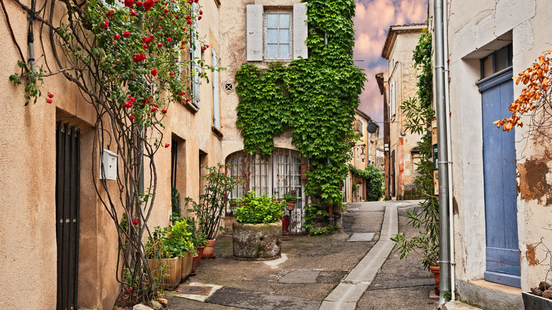 Alley in Lourmarin lined with buildings and greenery