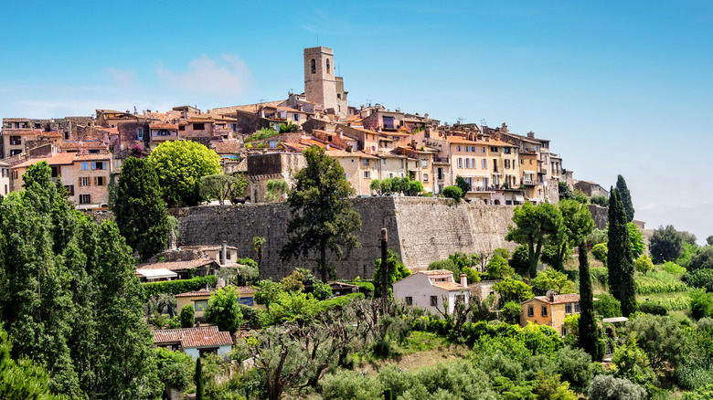 Saint-Paul-de-Vence and trees from afar