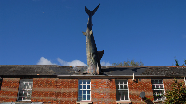 The Headington Shark House