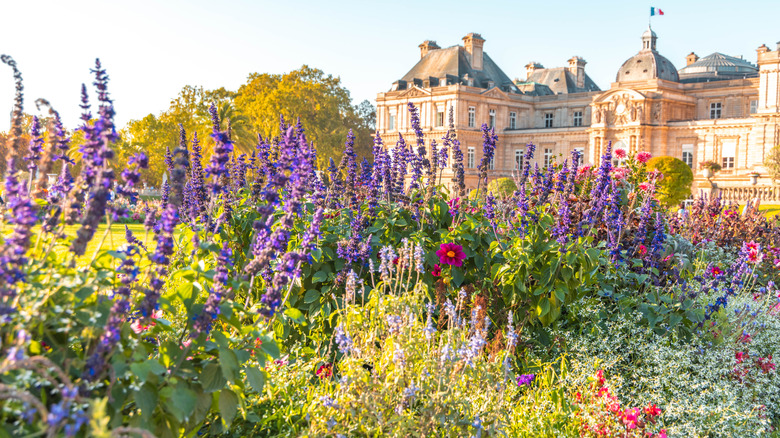 Flowers bloom at the Jardin du Luxembourg