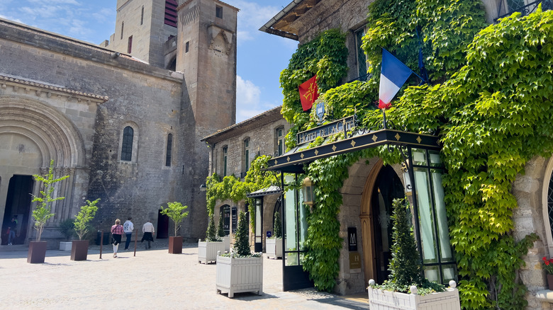 Ivy covered front of the Hotel de la Cite in Carcassonne with the basilica in the background