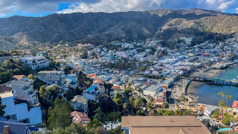 The hills in Avalon, California