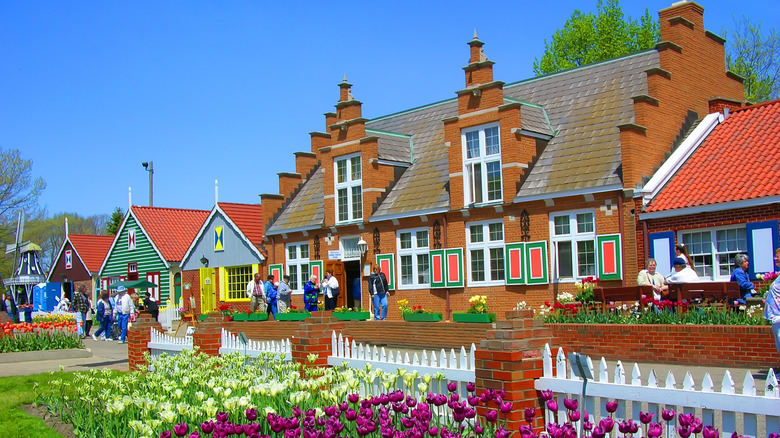 Tulip festival in Holland, Michigan