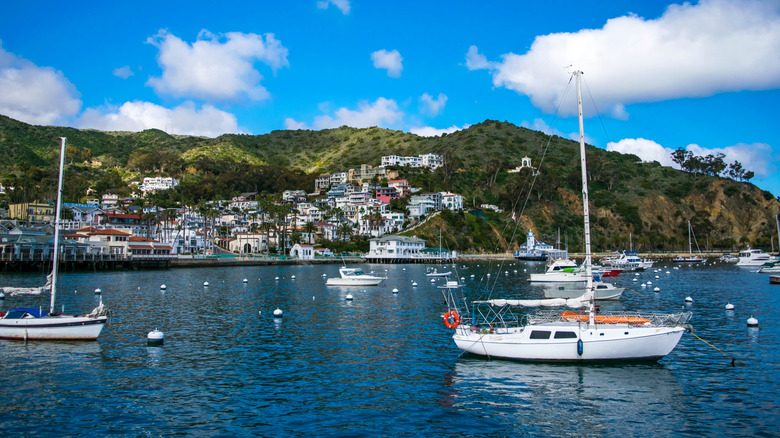 The bay in Avalon, California
