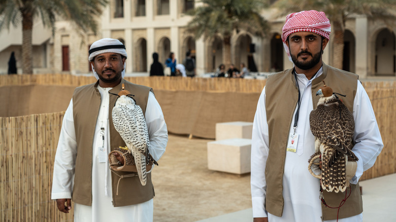 Two Middle Eastern men with falcons perched on their forearms