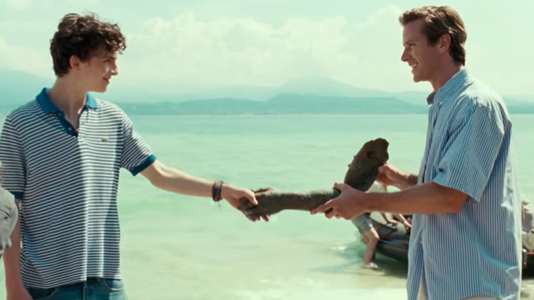 Looking down on colorful seaside Italian houses overlooking Lake Garda