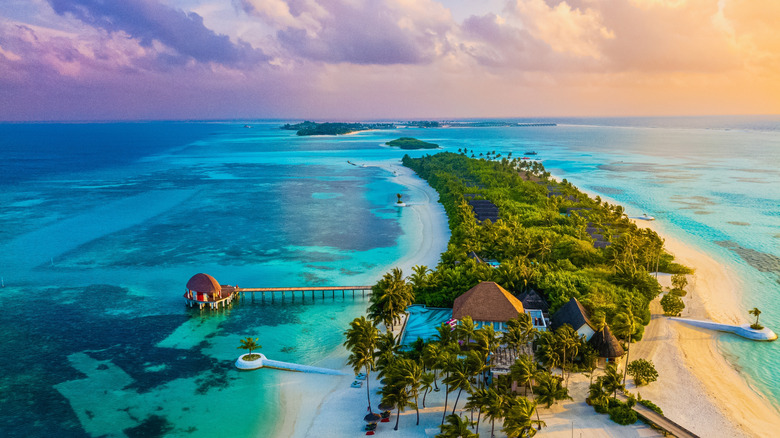 Aerial view of tropical beach island with a palapa, a jetty, and  palm trees surrounded by turquoise water