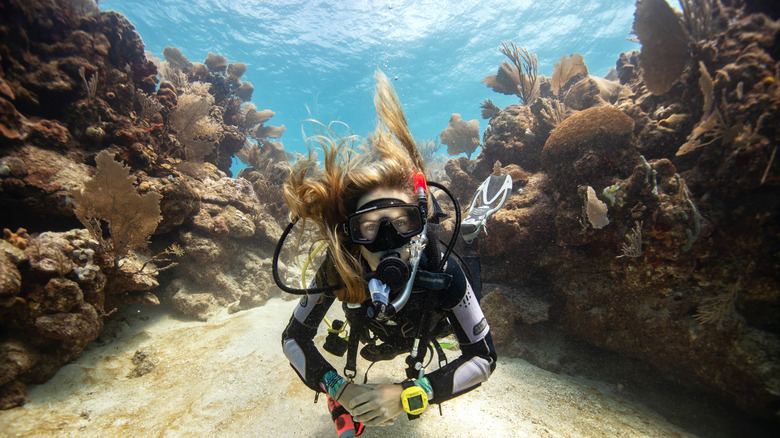 A scuba diver with long, blond hair is looking at the camera as she swims among coral in Honduras