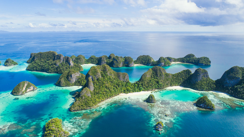 Limestone islands covered in greenery in turquoise sea, Raja Ampat
