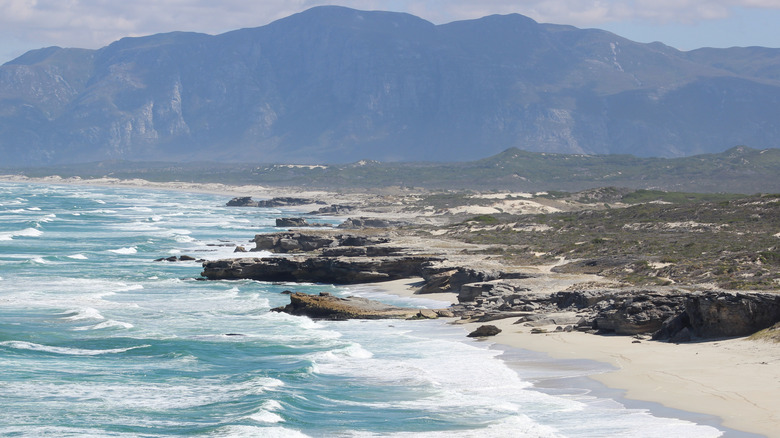 Rocky coastline and mountains