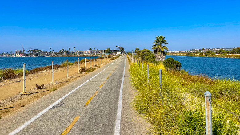 The Strand bike path on a sunny day in Playa del Rey