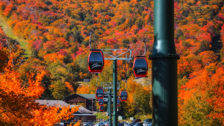 Gondolas climbing up the fall foliage covered Mt Mansfield in Stowe, Vermont, during autumn