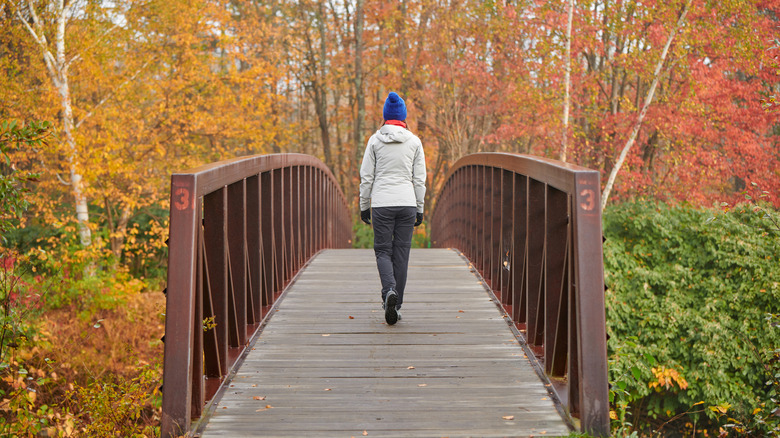 Fall foliage in front of a hiker crossing a bridge along Stowe Recreation Path in Stowe, Vermont, during autumn
