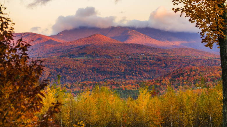 Mount Mansfield covered in fall foliage during autumn in Stowe, Vermont