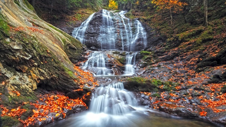 Moss Glen Falls, Vermont's tallest waterfall, surrounded by colorful fallen leaves during autumn in the city of Stowe, VT