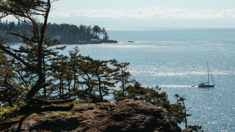 Sailboat drifting near San Juan Islands coastline