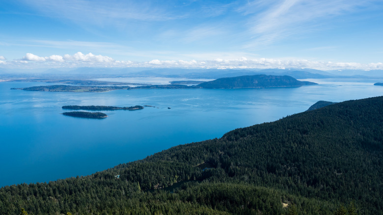 Aerial view of San Juan Islands coastline