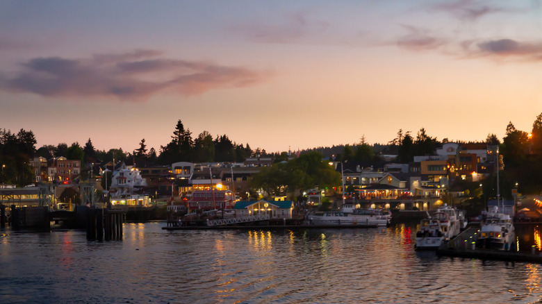 Friday Harbor at sunset