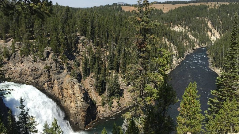 A view of the Grand Canyon's south rim in Yellowstone.