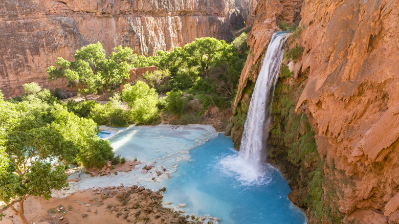 the Havasu Falls