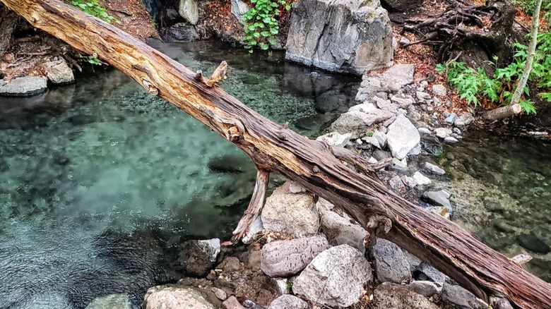 the Jordan Hot Springs in Gila National Forest
