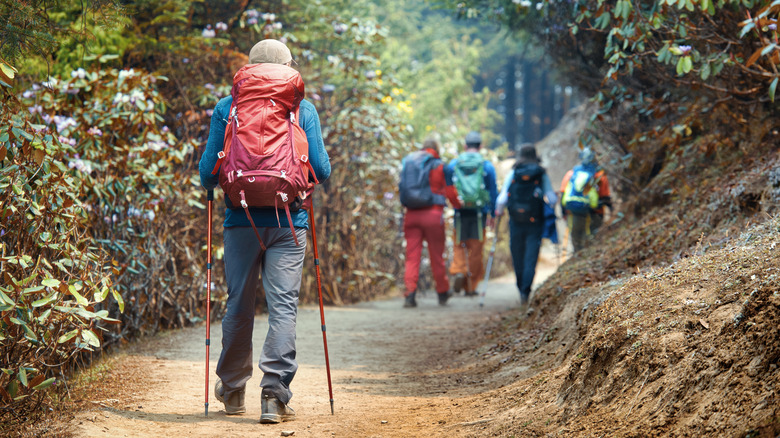 backpackers on a trail