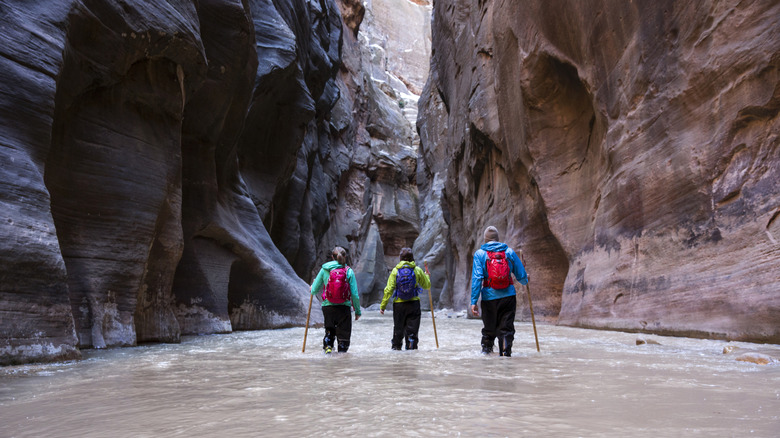 a trio of hikers in Zion National Park's Narrows section