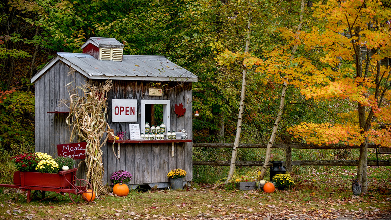 Maple syrup farm stand underneath fall foliage