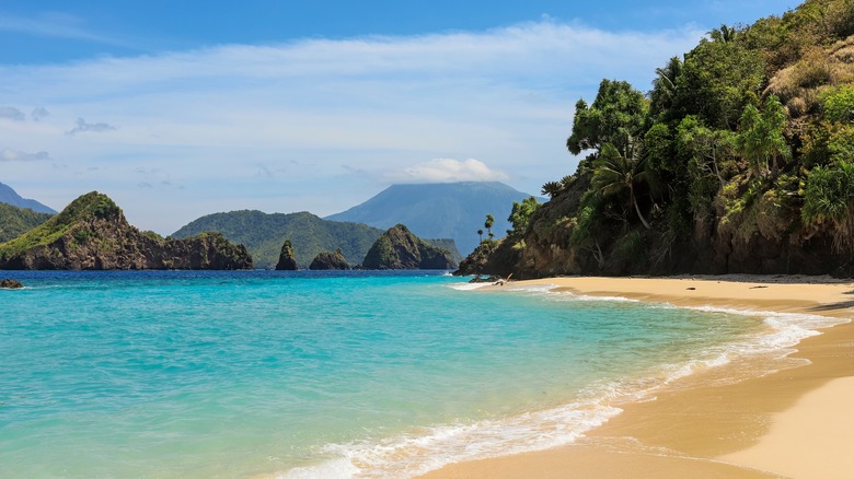 tropical beach with clear water