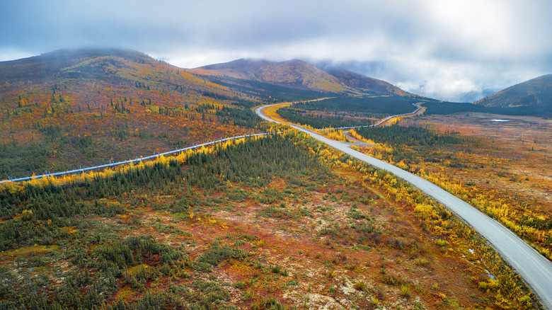 Dalton Highway in fall