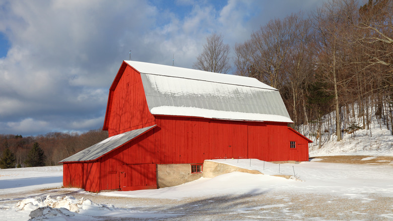 Striking red barn at Charles Olsen Farm in Sleeping Bear Dunes National Lakeshore