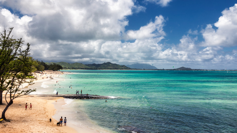 Kailua Beach Park, O'ahu, Hawai'i