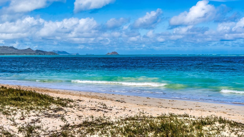 Kailua Beach Park, O'ahu, Hawai'i