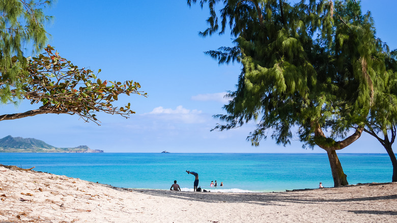 People at Kailua Beach Park