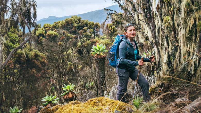 Woman hiking