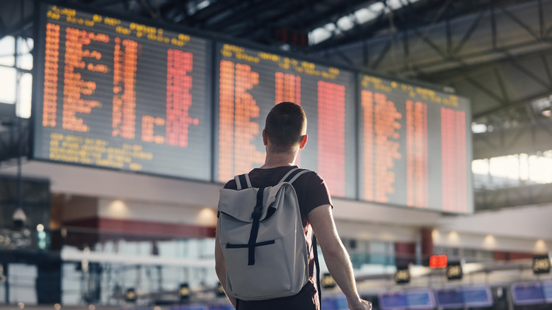 man looking at flight lists