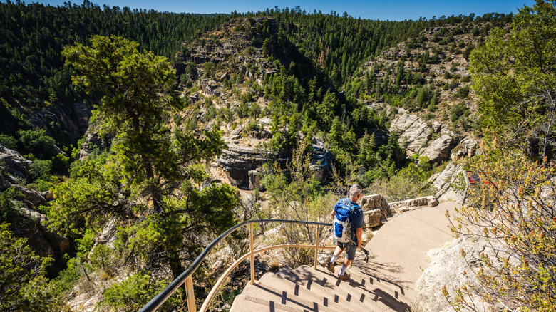 Landscape view of Walnut Canyon, Arizona