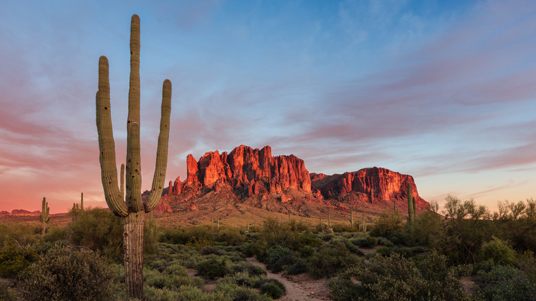 A beautiful desert view from Lost Dutchman State Park, Arizona