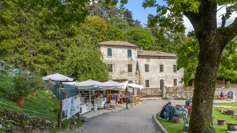 A tree-lined street in Piazzi where the Santuario Madonna Della Corona is located