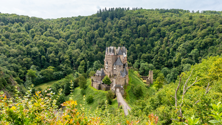 Eltz Castle surrounded by the lush Eltz Forest