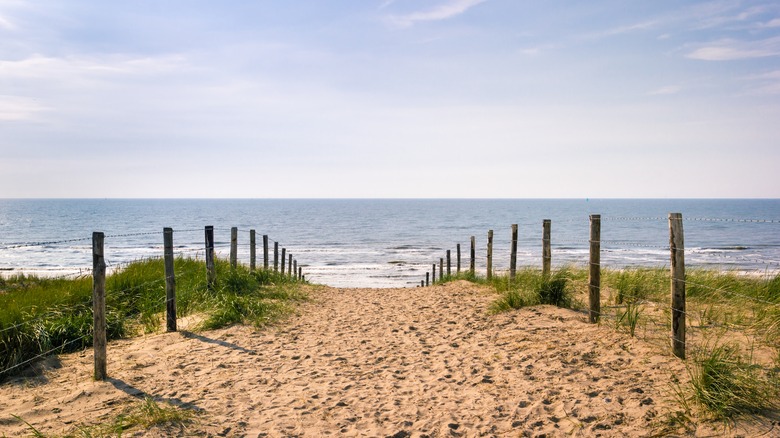 Path leading to Zandvoort Beach