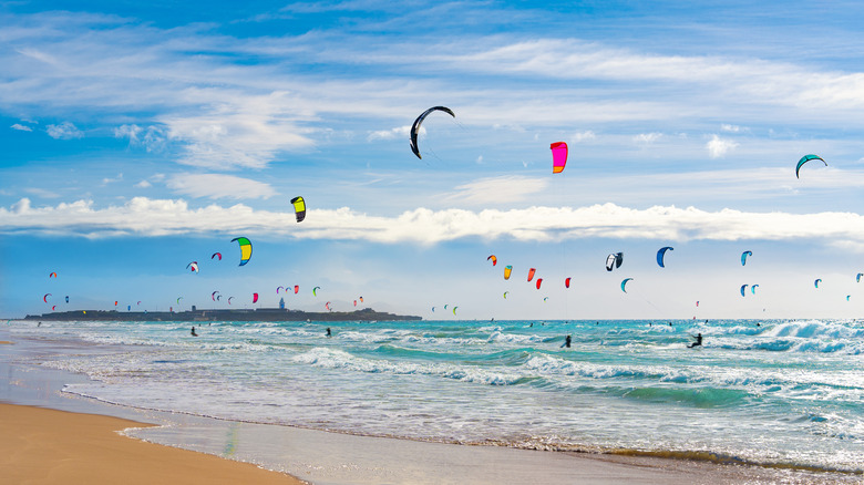 Kite-Surfers take up space and sky in Tarifa