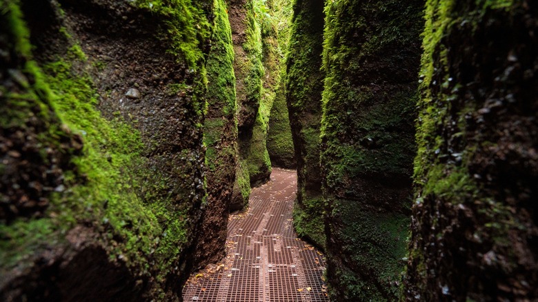 Narrow walkways of Dragon Gorge in Germany